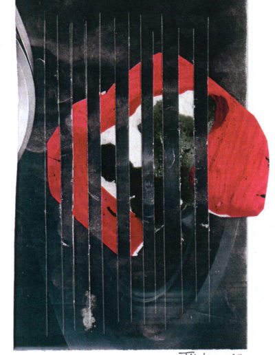 Collage003